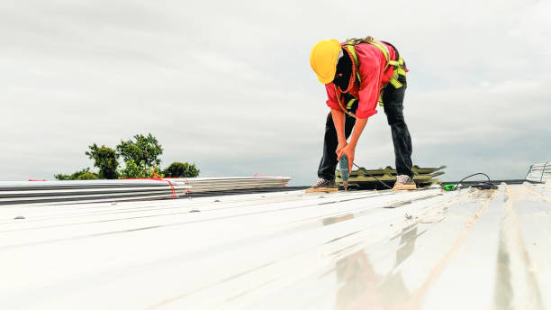 Best Skylights  in Hudsonville, MI