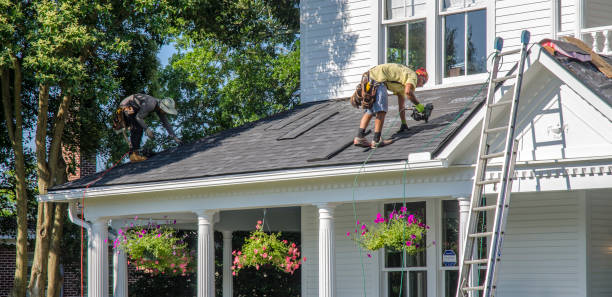 Best Roof Insulation Installation  in Hudsonville, MI